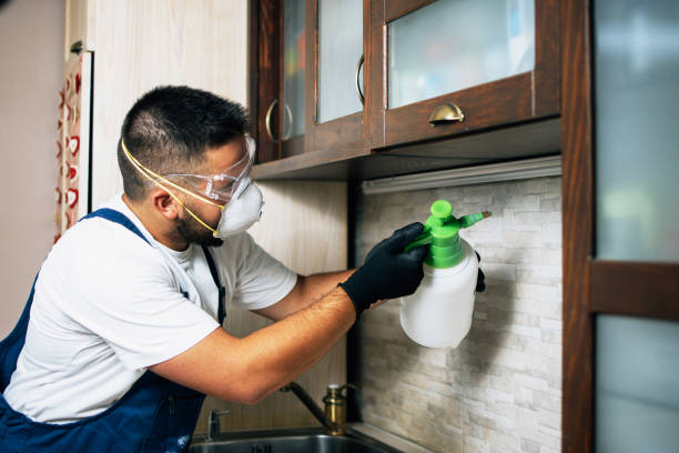 Best Pest Inspection Near Me  in Standish, MI