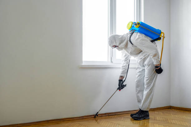 Best Insect Control  in Standish, MI