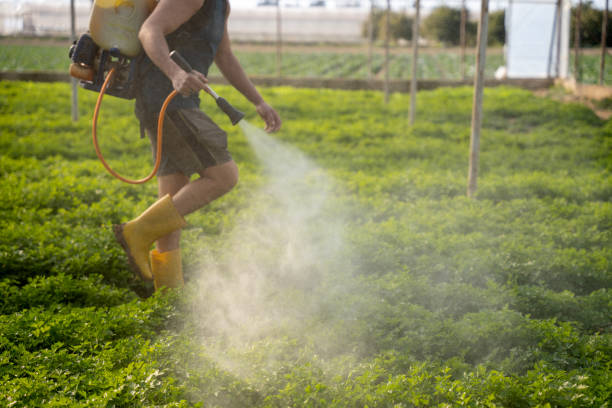 Best Exterminator Services  in Standish, MI