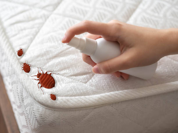 Best Cockroach Control Services  in Standish, MI